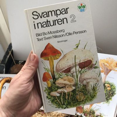 Книга энциклопедия грибы Svampar i naturen 2 часть 1977 г.