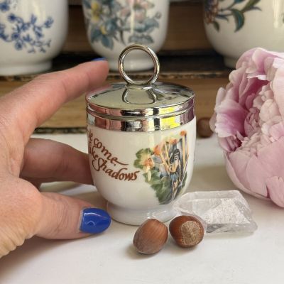 Кодлер на 1 яйцо Royal Worcester Англия