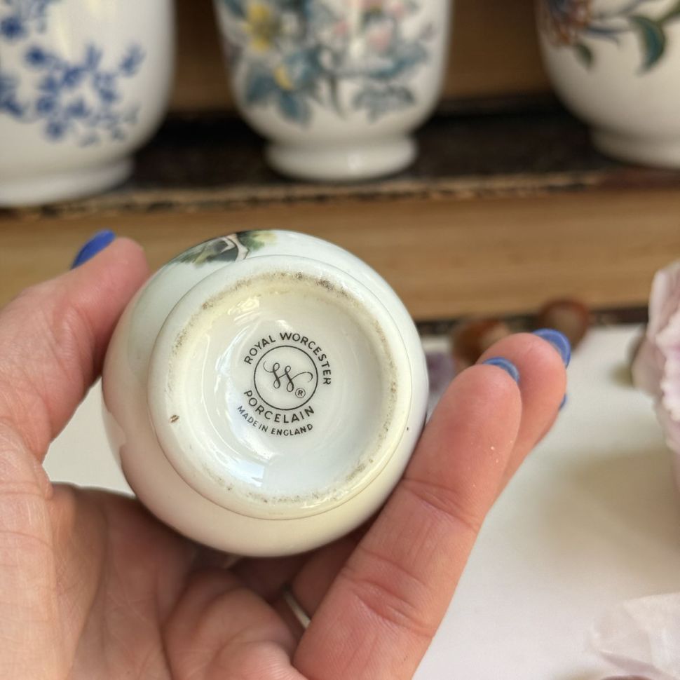 Кодлер на 1 яйцо Royal Worcester Англия