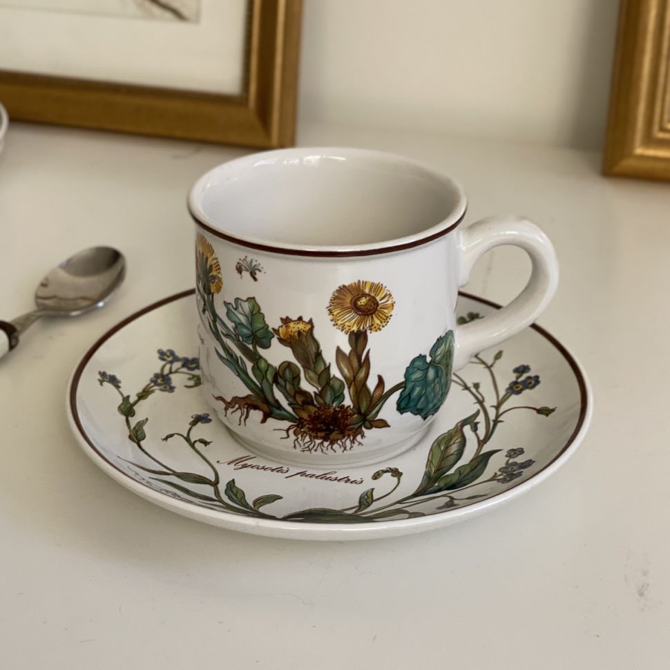 Чайная пара Botanica ВиллеройБох 180 мл Люксембург