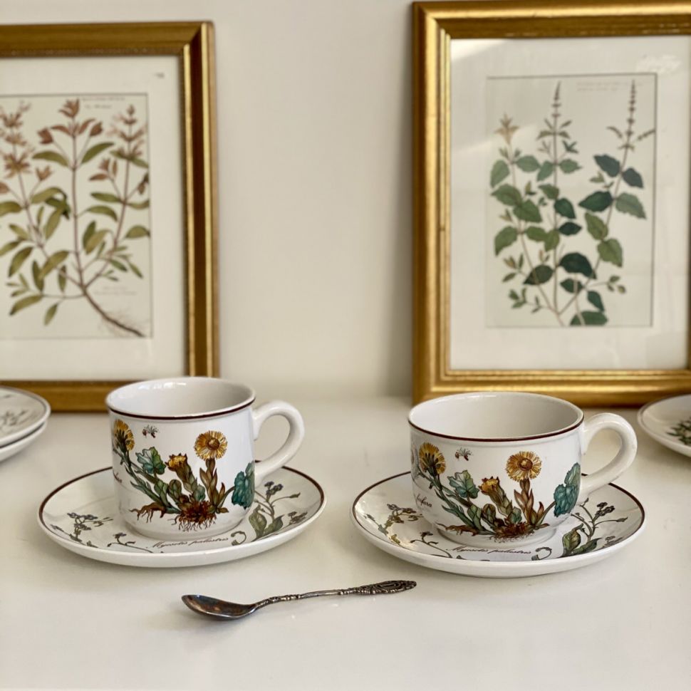 Чайная пара Botanica ВиллеройБох 180 мл Люксембург