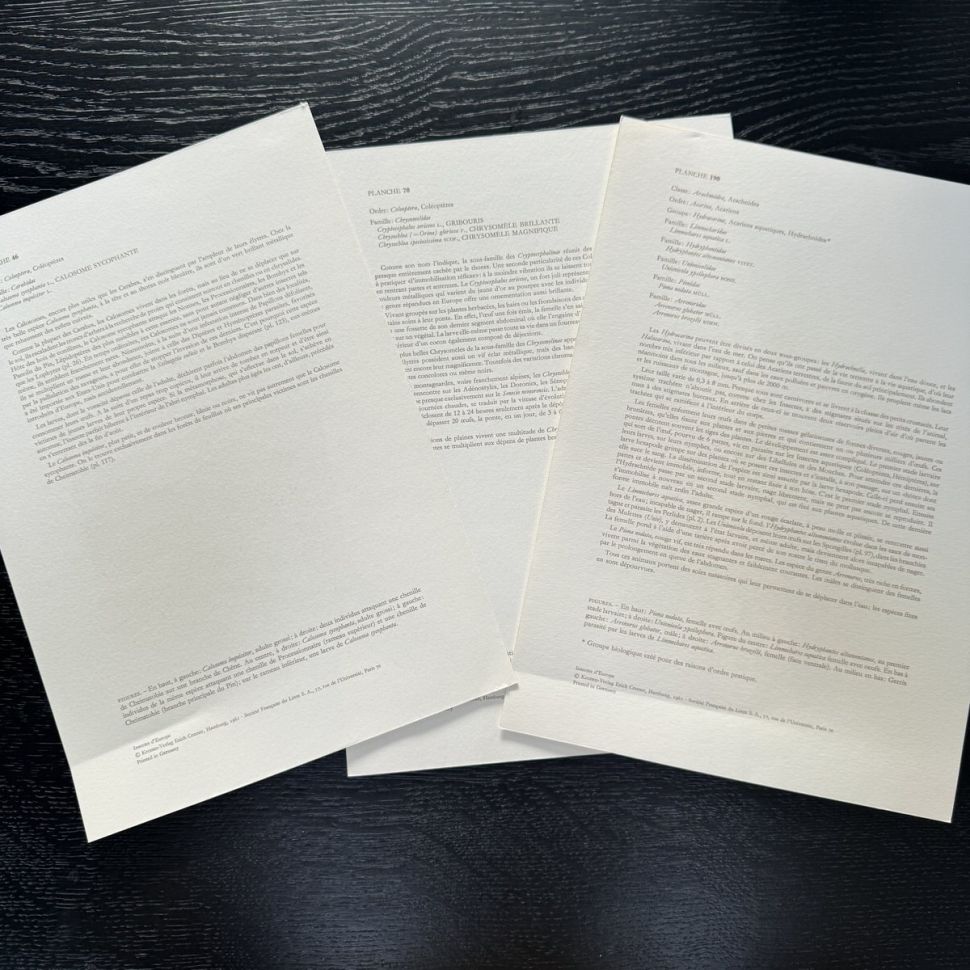 Литография 27х19 см Insectes d'Europe 3 шт стр. 46/190/70  