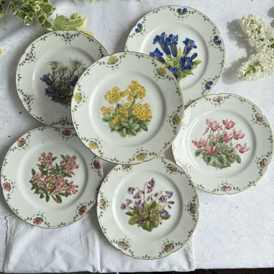 Тарелка Franklin Porcelain Альпийские цветы Aurikel 20 см фарфор Германия