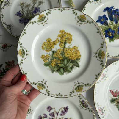 Тарелка Franklin Porcelain Альпийские цветы Aurikel 20 см фарфор Германия