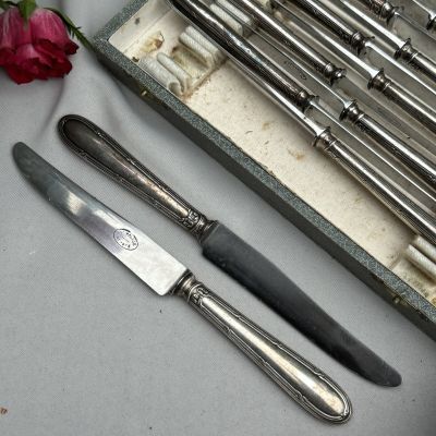 Нож столовый 21 см Antipouille Depose серебрение сталь Франция