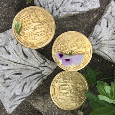 Медаль латунная большая