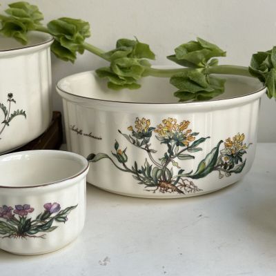 Форма для духовки Botanica 20 см ВиллеройБох