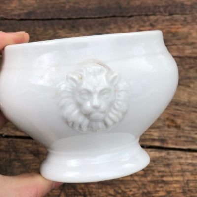 Бульонница Львы с пышной гривой белая 500 мл