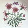 Тарелка глубокая Portmeirion Botanic Garden Treasure Flower 22 см Портмерион Англия 