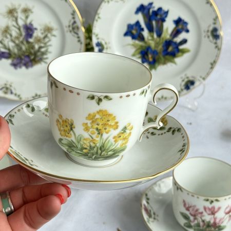 Чайная пара Franklin Porcelain Aurikel 200 мл фарфор Германия