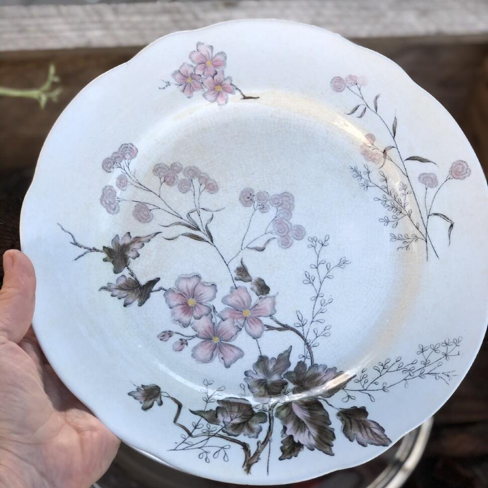 Тарелка 26 см Rorstrand Risa Швеция (микроскол)