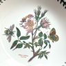 Тарелка глубокая Portmeirion Botanic Garden Dog Rose 22 см Портмерион Англия  