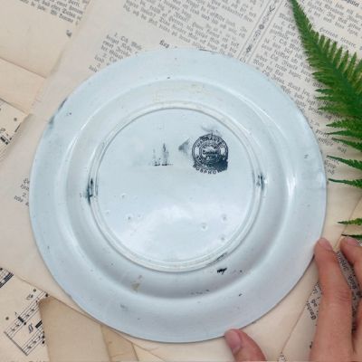 Тарелка J.T.H Bosphorus 21 см Staffordshire Англия конец 19 века