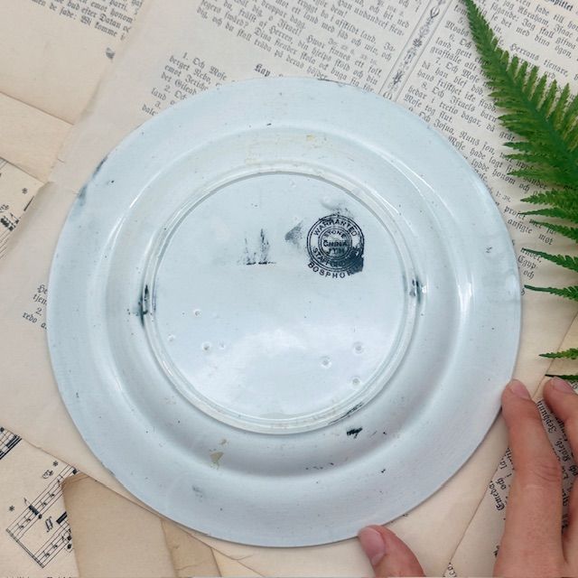 Тарелка J.T.H Bosphorus 21 см Staffordshire Англия конец 19 века