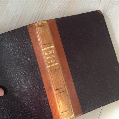 Книга Carl Detlef 1880 год