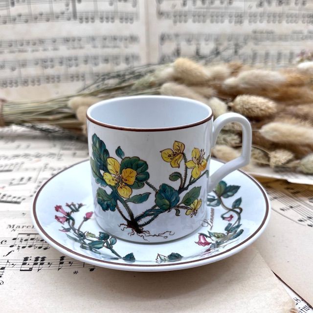 Кофейная пара Botanica ВиллеройБох 120 мл Германия