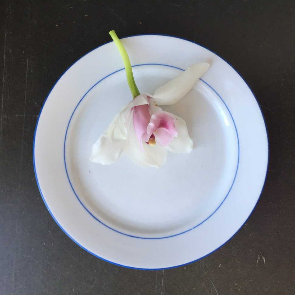 Тарелка столовая с синей каймой 19 см