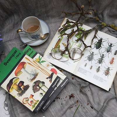 Энциклопедия Грибы