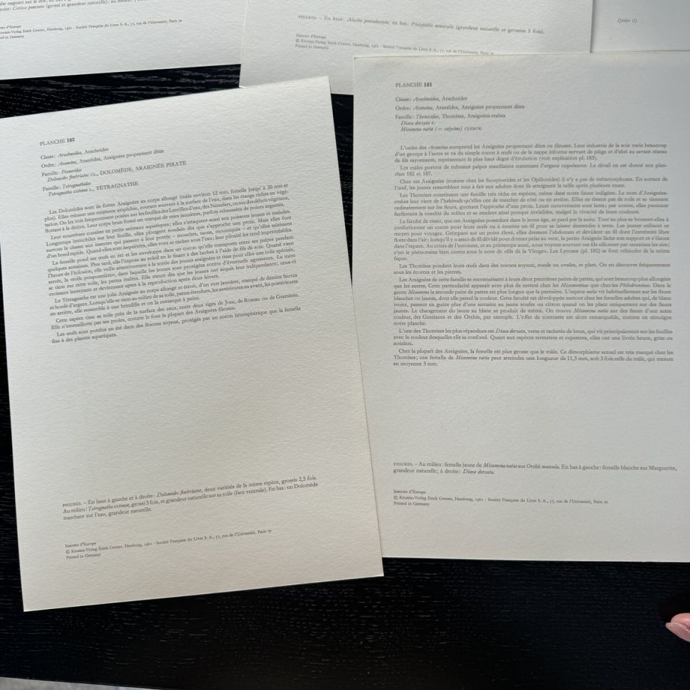 Литография 27х19 см Insectes d'Europe 2 шт стр. 181/185 