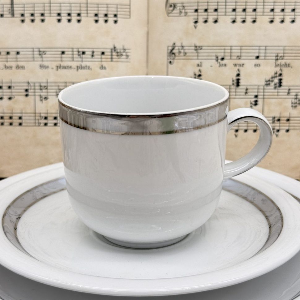 Чайное трио Winterling Серебряная кайма 220 мл Германия