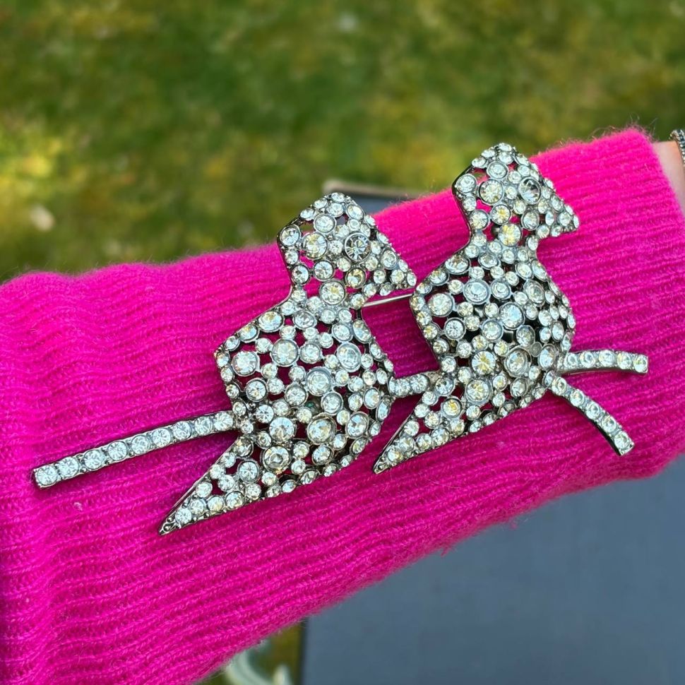 Брошь Птицы Sonya Rykiel предзаказ