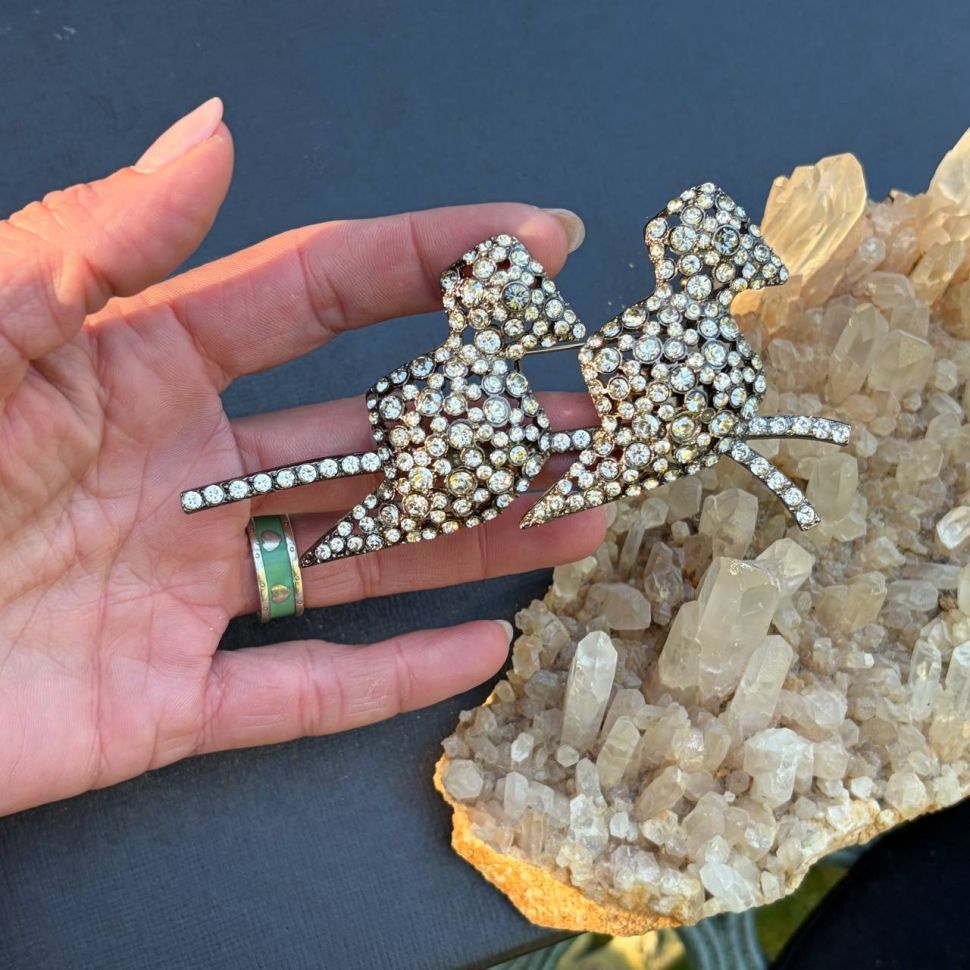 Брошь Птицы Sonya Rykiel предзаказ