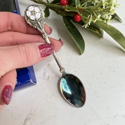 Ложка 11 см серебрение эмаль в коробочке