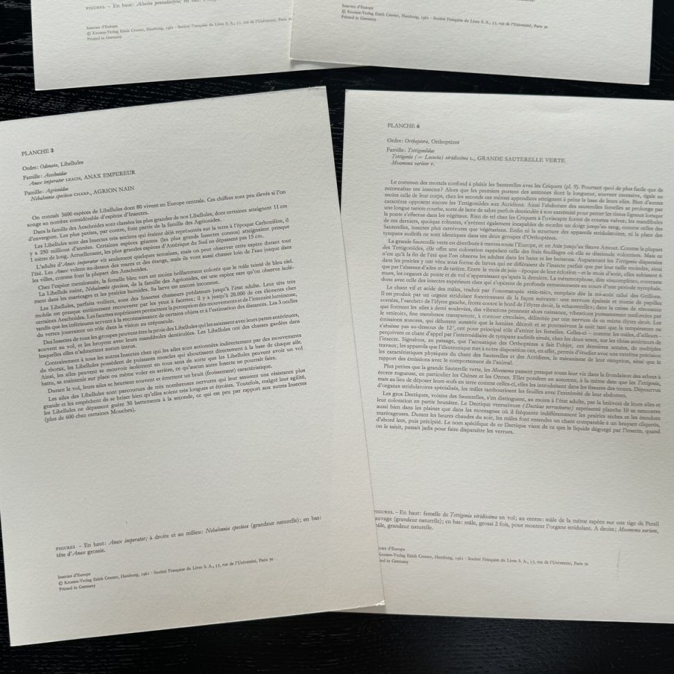Литография 27х19 см Insectes d'Europe 2 шт стр. 6/3