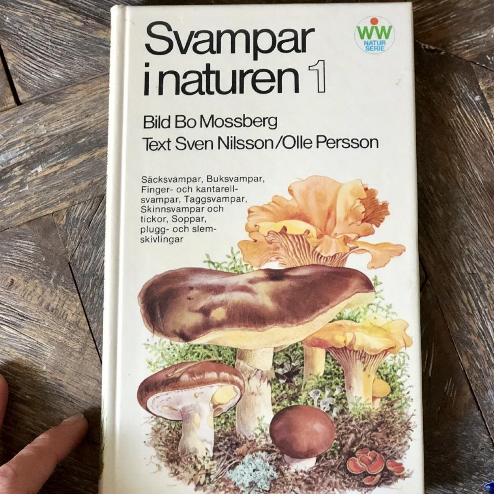 Книга "Svampar i naturen" 1 часть