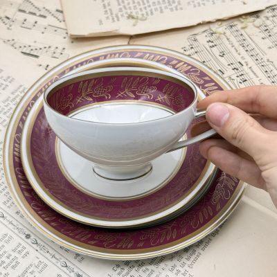 Чайное трио Reichenbach 200 мл фарфор Германия