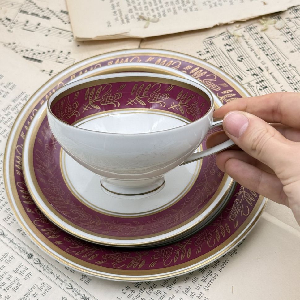 Чайное трио Reichenbach 200 мл фарфор Германия