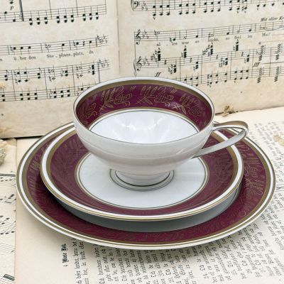 Чайное трио Reichenbach 200 мл фарфор Германия