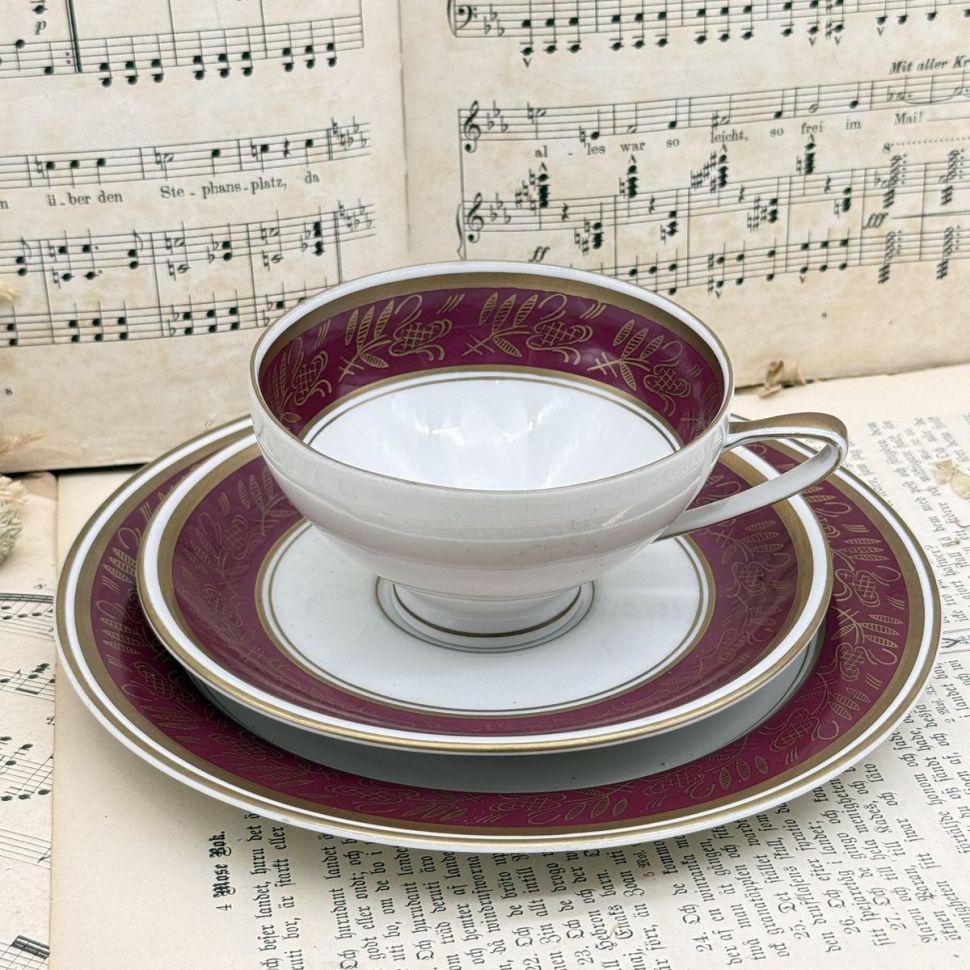 Чайное трио Reichenbach 200 мл фарфор Германия