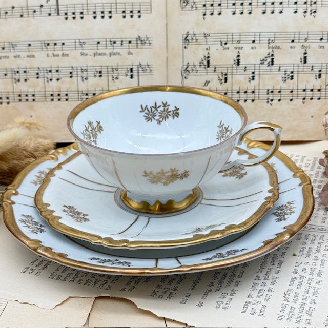 Чайное трио Unger & Schilde Roschutzer 220 мл Германия 