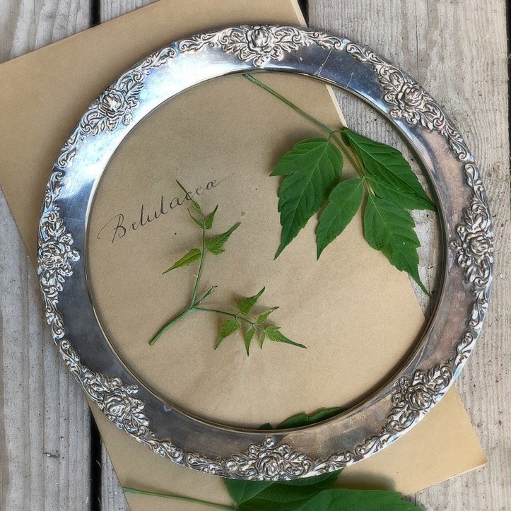 Рама обод с тиснением для зеркала, картины, подноса