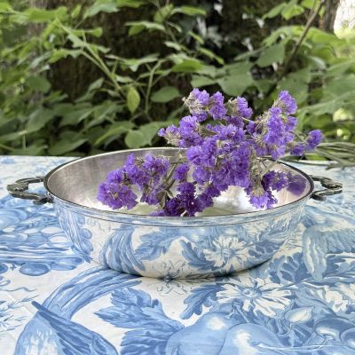 Миска с ручками 22 см серебрение