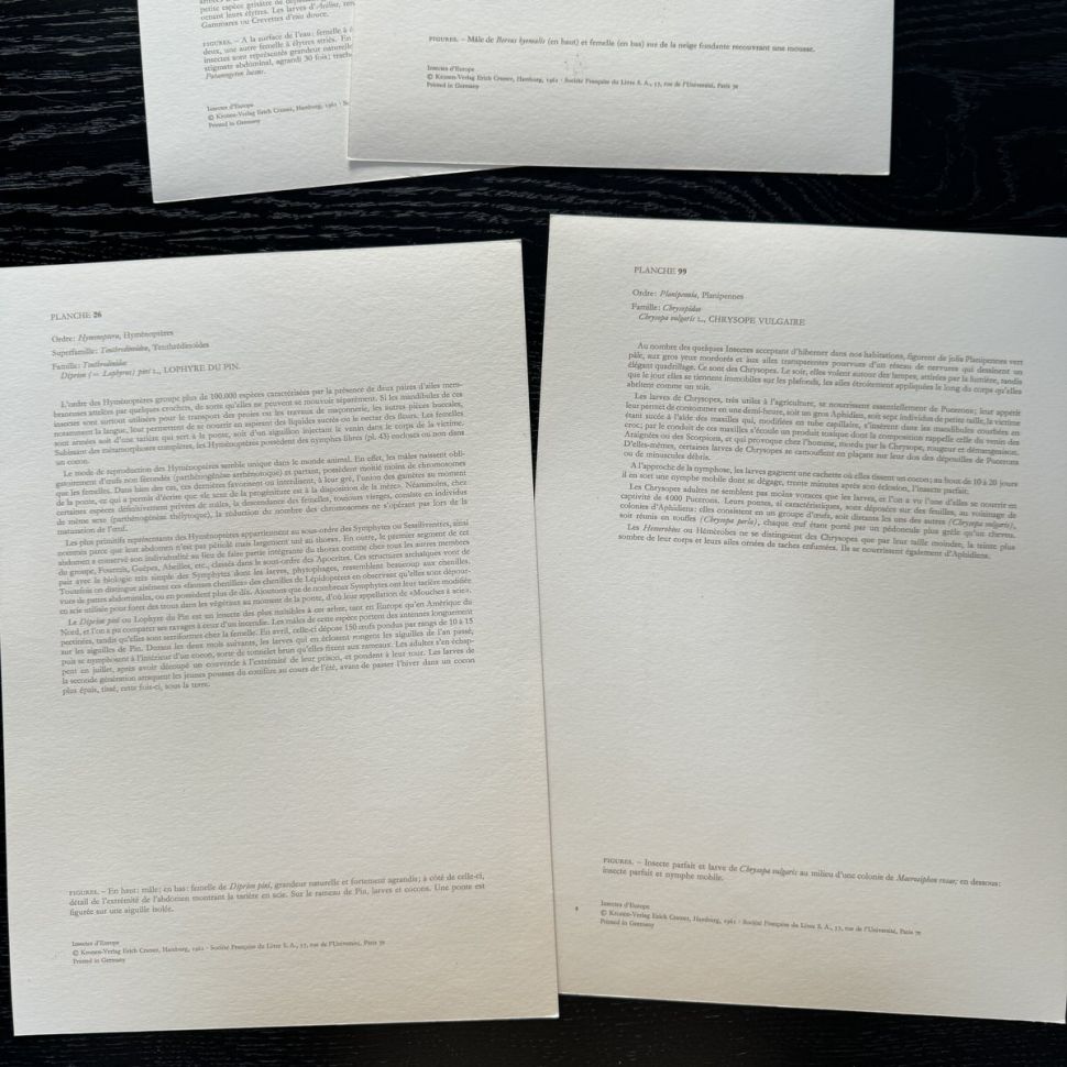 Литография 27х19 см Insectes d'Europe 2 шт стр. 26/99