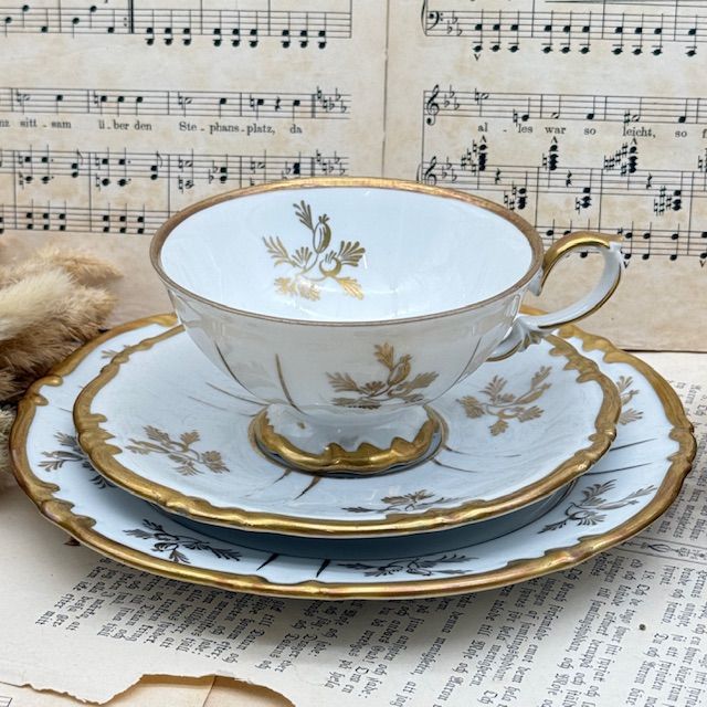 Чайное трио Unger & Schilde Roschutzer Шиповник 220 мл Германия 