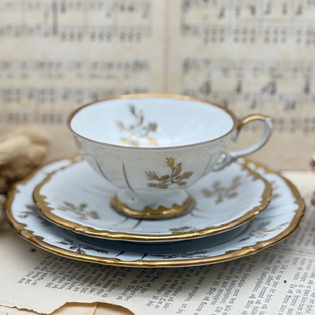 Чайное трио Unger & Schilde Roschutzer Шиповник 220 мл Германия 