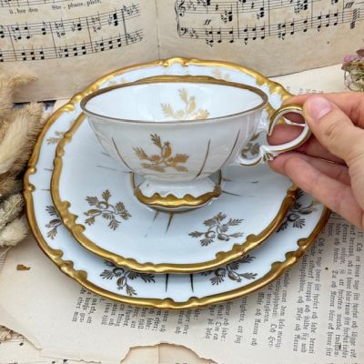 Чайное трио Unger & Schilde Roschutzer Шиповник 220 мл Германия