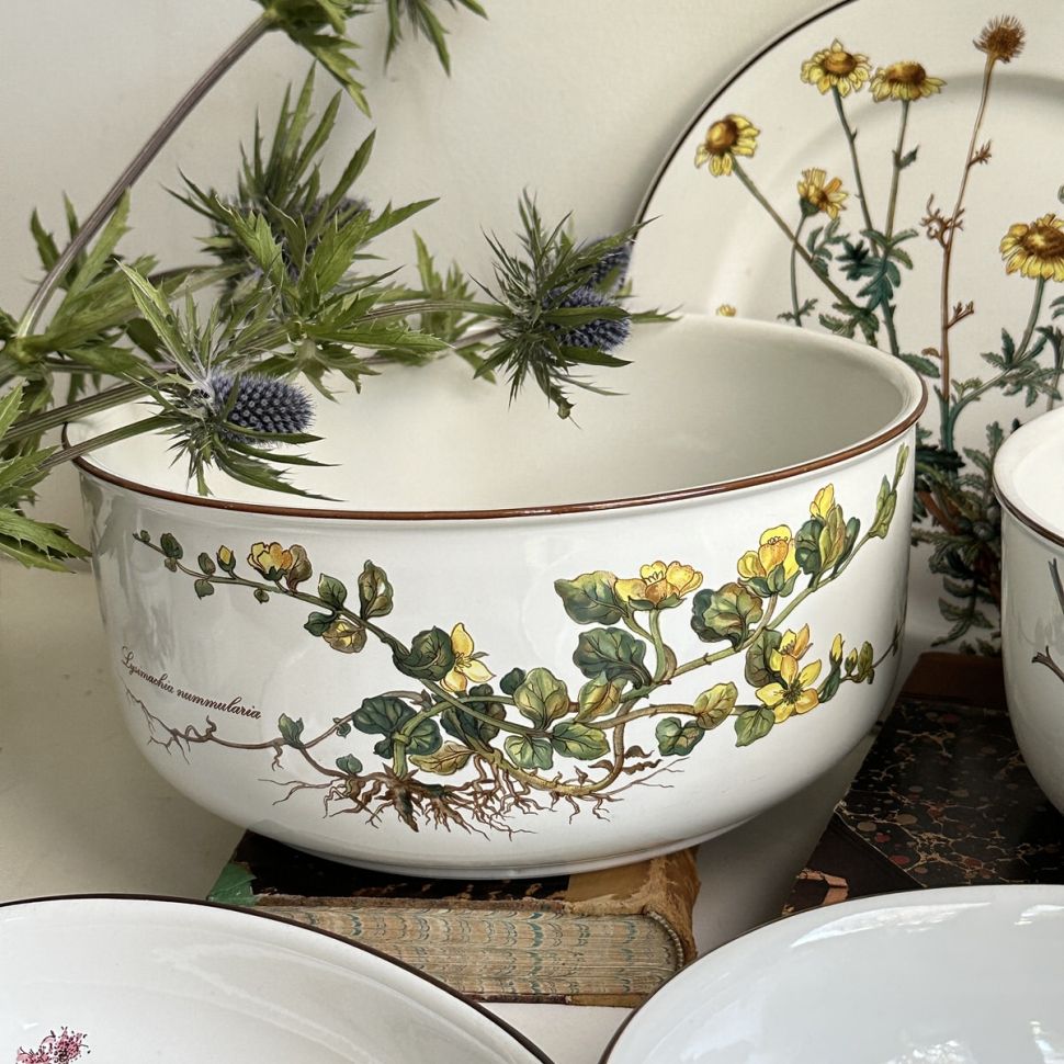 Салатник большой Botanica Lysimachia 23 см ВиллеройБох 