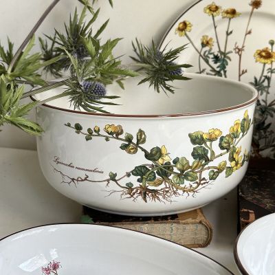 Салатник большой Botanica Lysimachia 23 см ВиллеройБох 