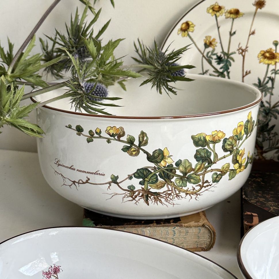 Салатник большой Botanica Lysimachia 23 см ВиллеройБох 