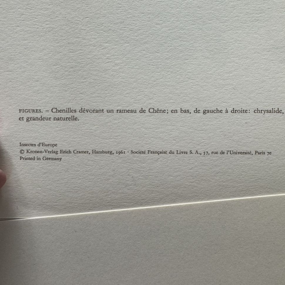 Литография 27х19 см Insectes d'Europe 2 шт стр. 169/38