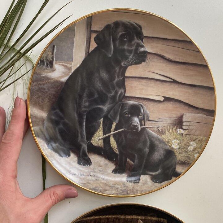 Тарелка 21 см Franklin Mint Like Father Like Son