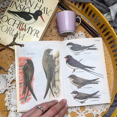 Энциклопедия Птицы 1