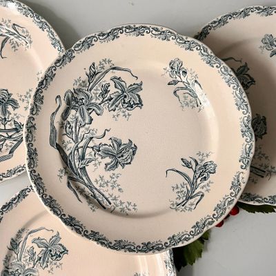 Тарелка LG Iris 24 см Франция уценка