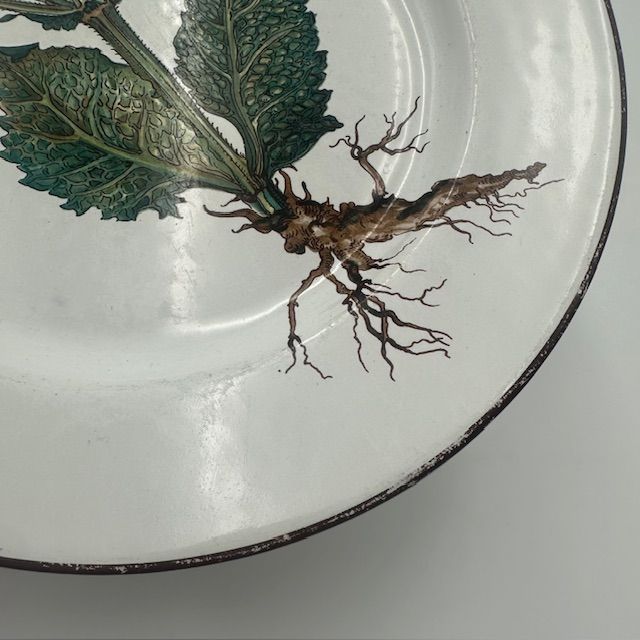 Блюдо Botanica ВиллеройБох Galvia 39 см 2 категория