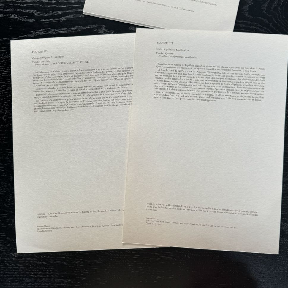 Литография 27х19 см Insectes d'Europe 2 шт стр. 115/111