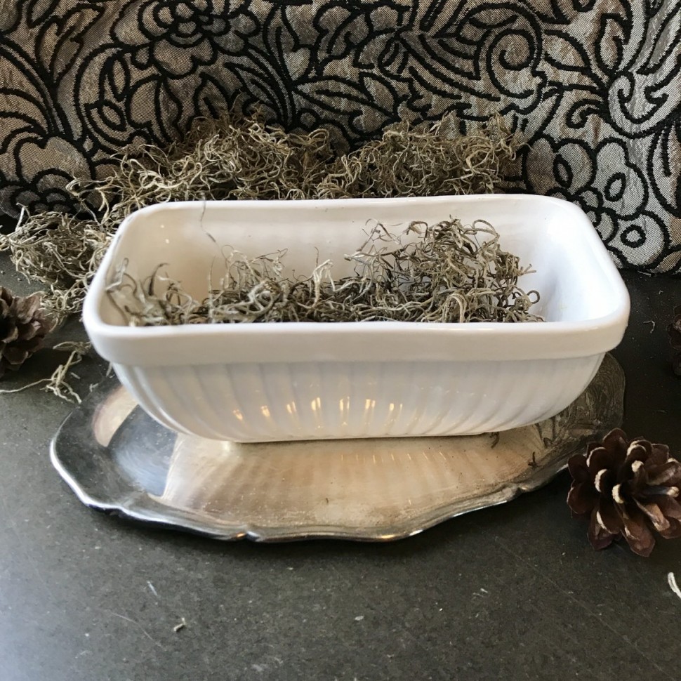 Кашпо для цветочных композиций